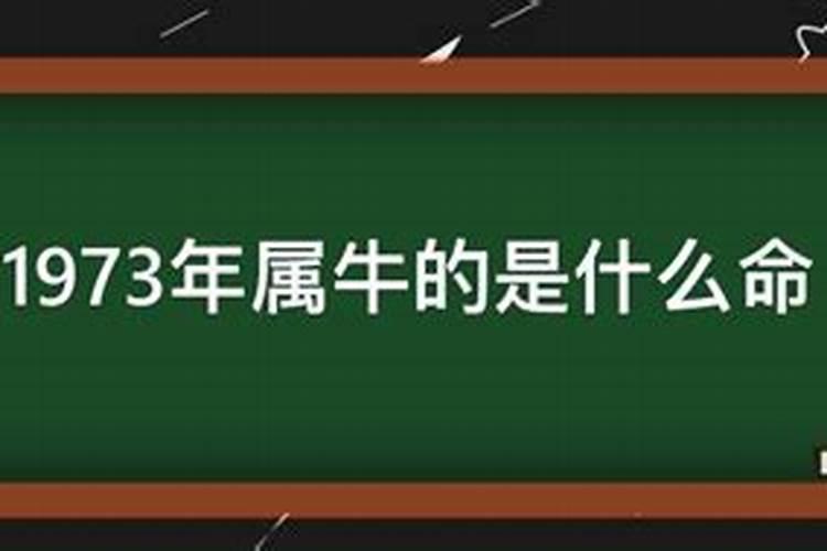 天秤座的情商与智商怎么样