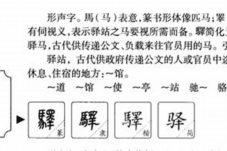 1996年农历11月是什么生肖