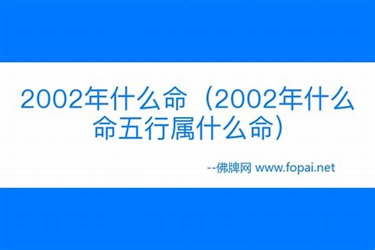 48岁属什么2020