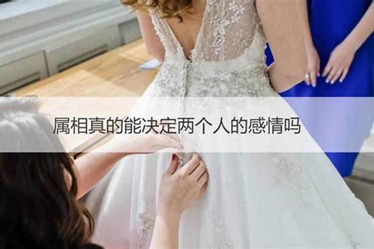 生肖不合真的会影响婚姻幸福吗