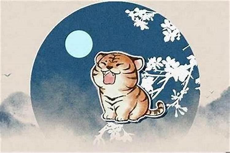 半夜梦到猫预示什么