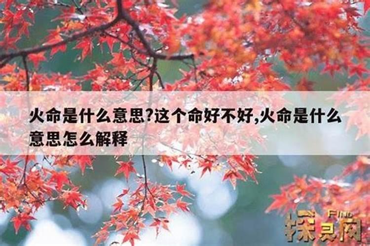 梦到花圈是什么意思啊