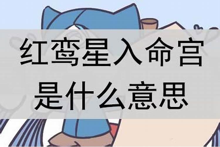 尚字五行属什么寓意