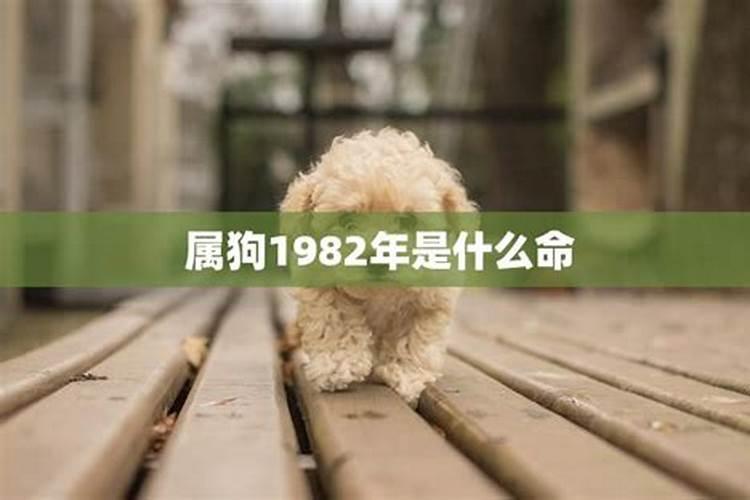 梦见把黄鼠狼打死是什么预兆