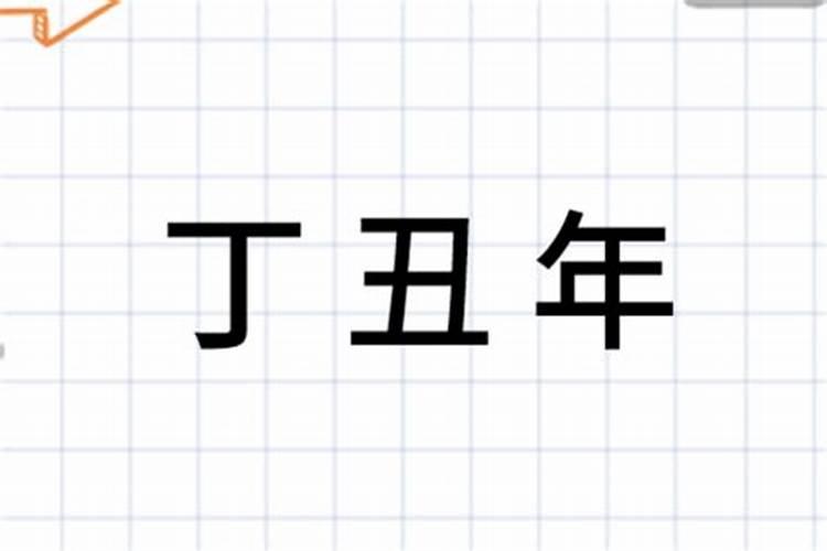 属猪男人喜欢哪种性格的女人和男人