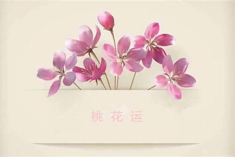 什么花招桃花运