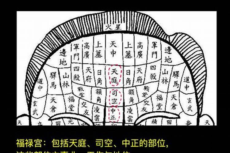 星座7月16是什么星座