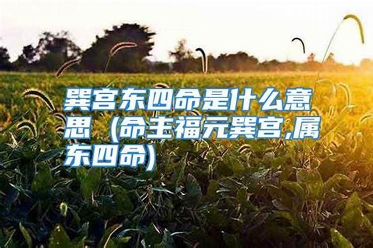 梦见与大人物在一起什么意思