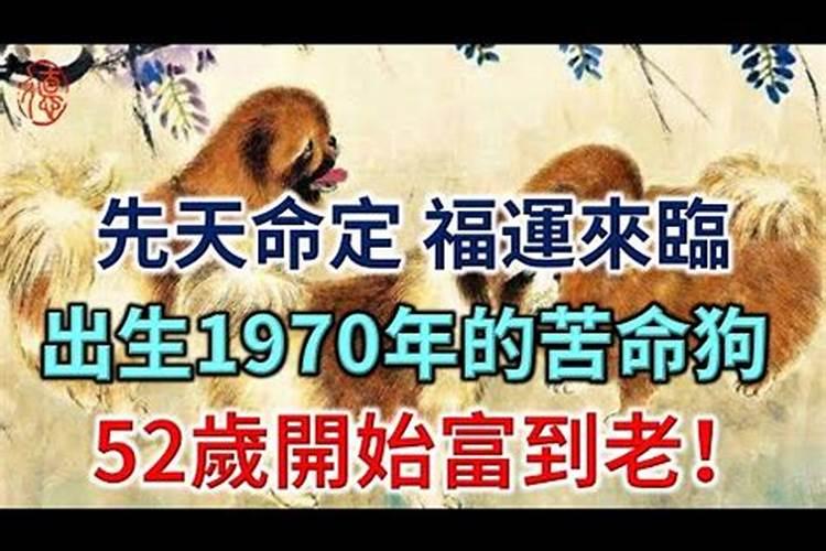 猪是哪一年的生肖