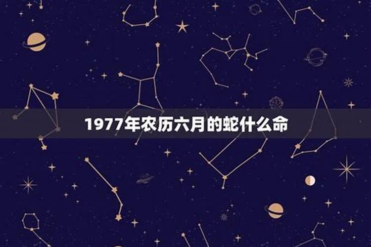 12月出生的是什么星座女生呢