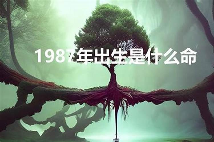 2022年属什么生肖年是什么