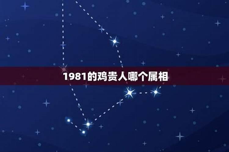 今年32岁生肖属什么