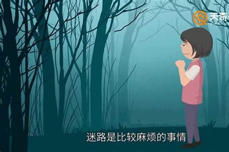 梦见乌龟是什么预兆女性