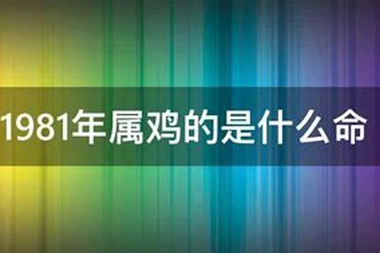 2022年属猴的人的全年运势女性如何呢