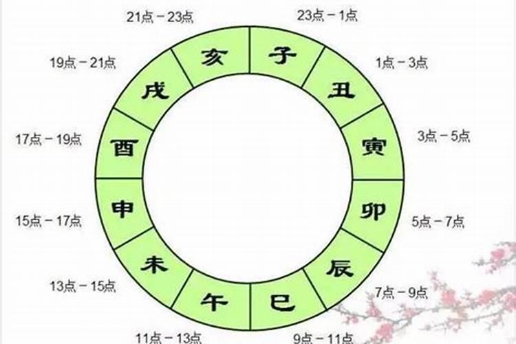 属蛇的在2023年的运势好不好呢怎么看