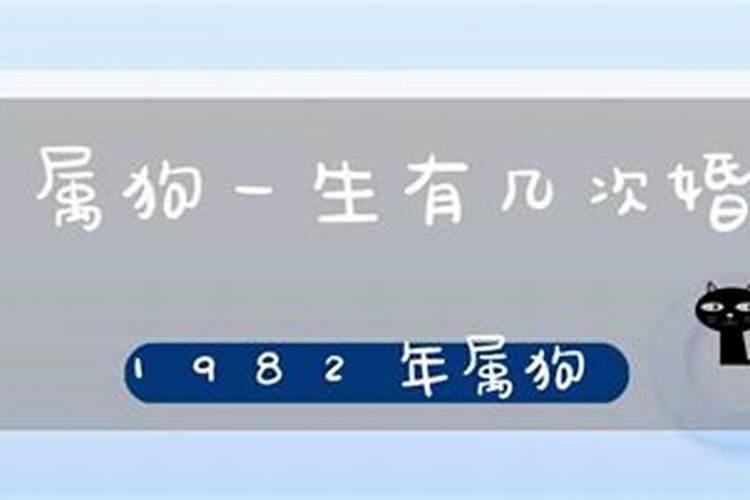 82年属狗一生有几次婚姻