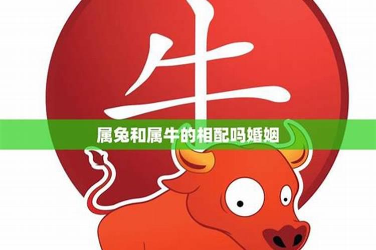 梦到自己去抓鱼是什么意思呀