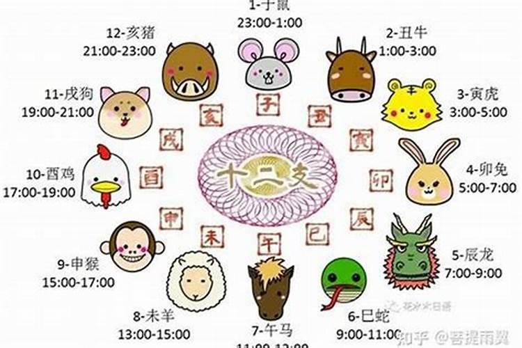 12生肖排序的由来视频