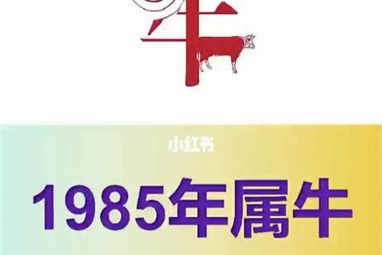 属相73年属什么生肖