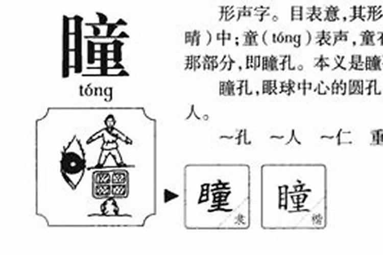 梦见红柿子是怎么回事