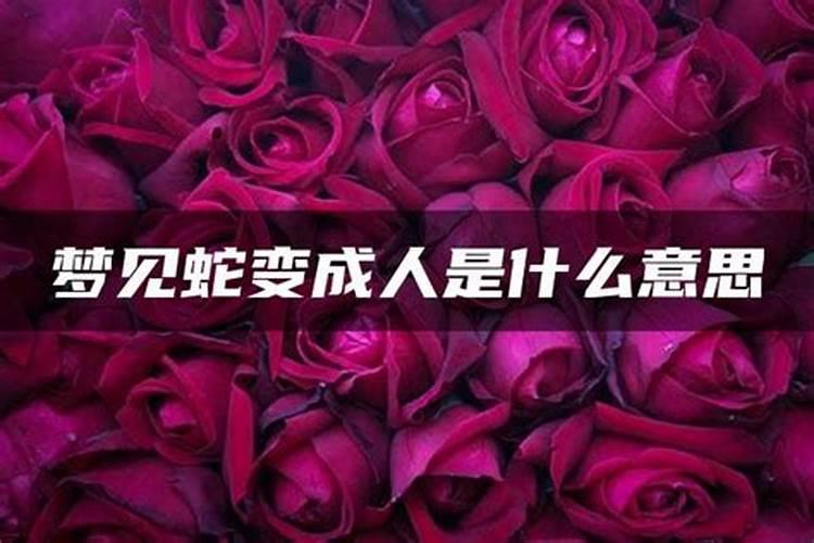 未婚女人梦见大蟒蛇是什么征兆