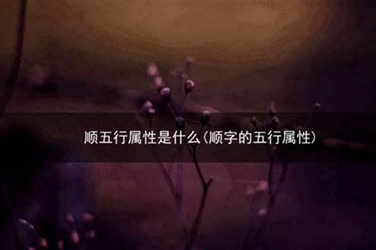 今年23岁是属什么的呀