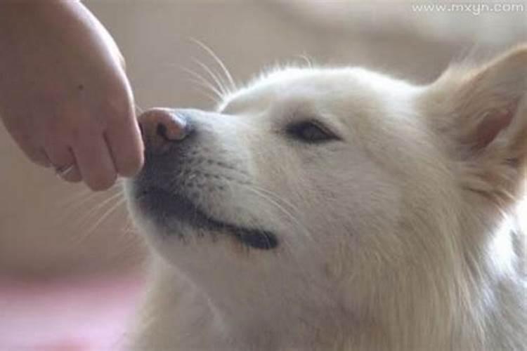 梦见在家抬棺材