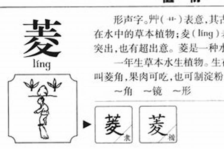 梦见水很脏里面还有死虫