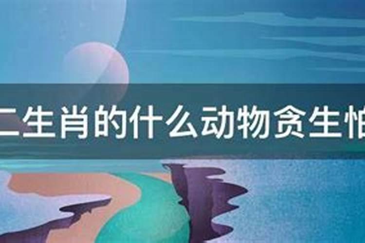 女人梦见黑狗是胎梦吗周公解梦