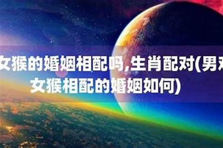 梦见被蛇咬了是怎么回事、解梦