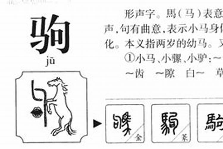 梦见孩子小的时候掉水里了