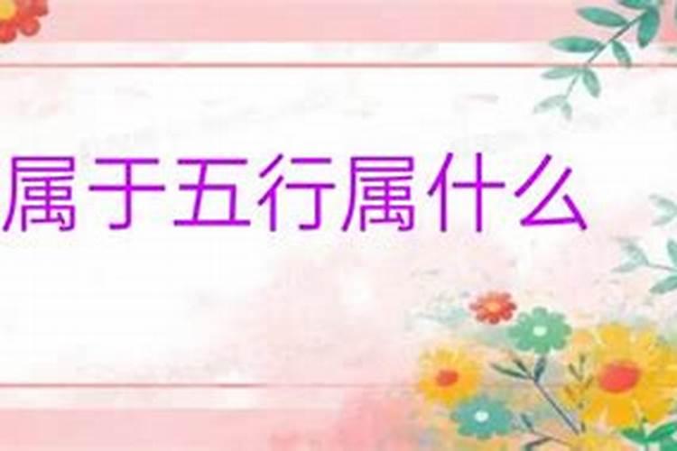 2019年属猪男孩名字简单大气两个字