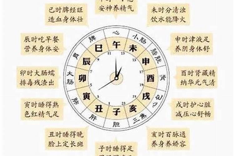 梦见海龟预示着什么