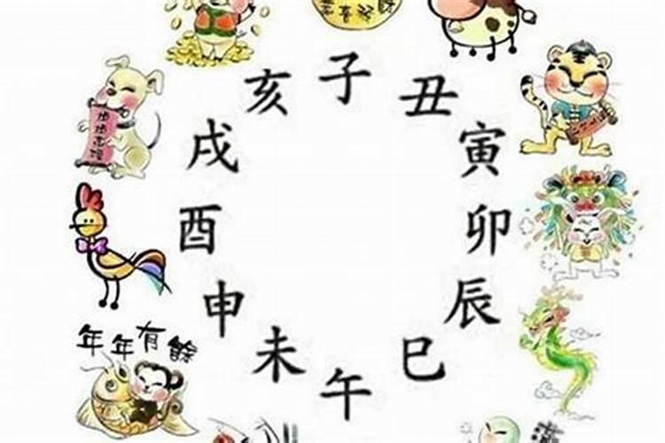 属虎的今年多大了2019龙