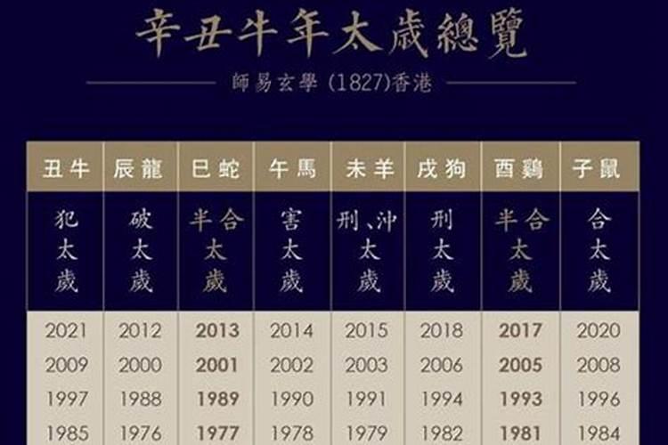 梦见桥断是什么意思