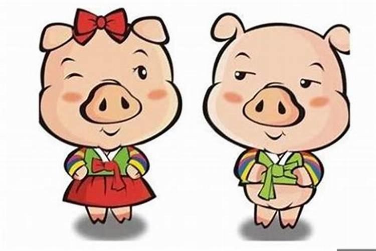 属猪人命中有两段婚姻