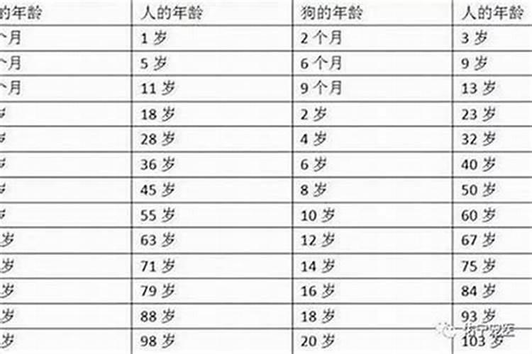 76年属龙人2021年财运怎么样呢