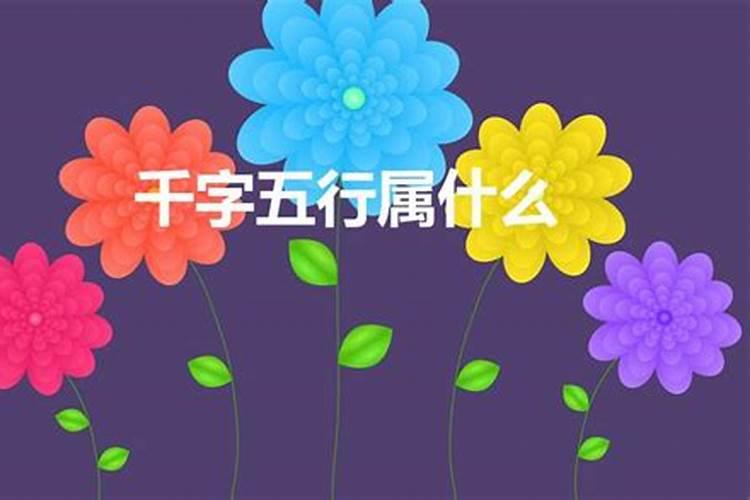 我梦见什么