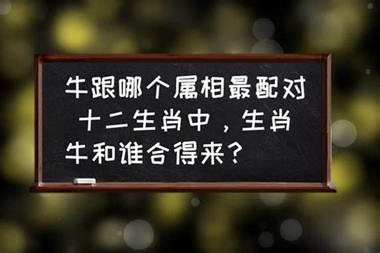 今年属猴运势怎么样2021虎年