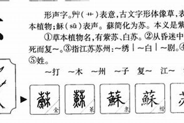 大运正印坐正财