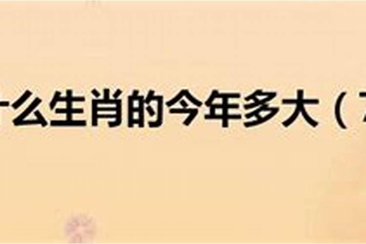 属鸡的今年年龄多大了啊