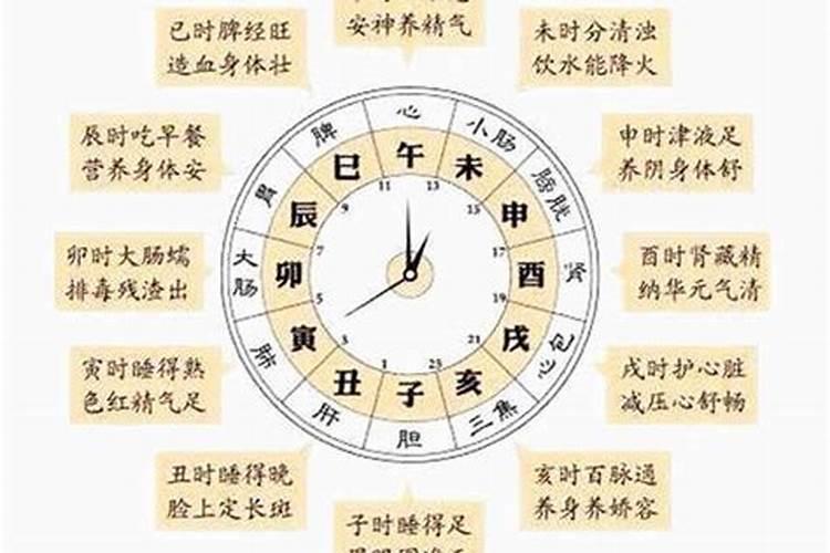 梦见鸡屎是什么意思女人