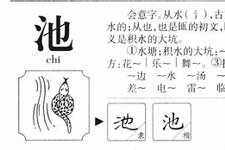 马思纯八字豆瓣