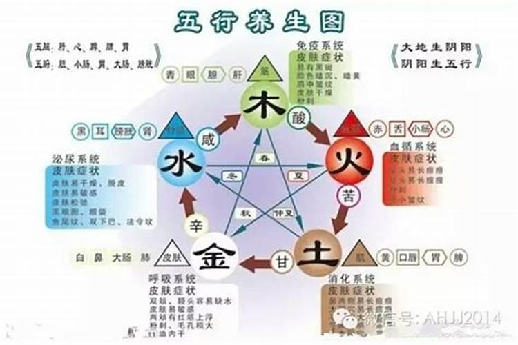 梦见捡到勺子什么意思