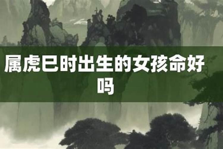 做梦梦见大树好不好