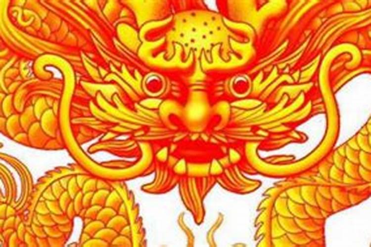 属猪今年多大年龄了