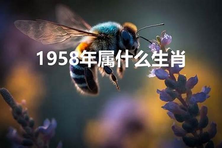 1973年5月19号是什么星座