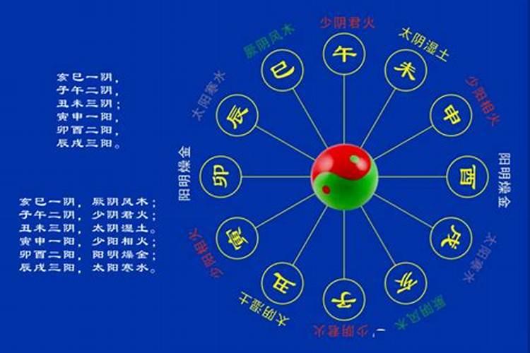 今天相冲生肖是什么肖6月16日出生