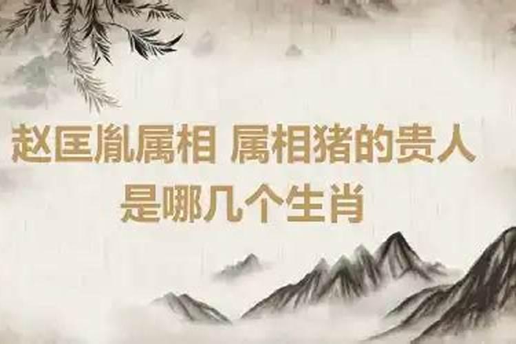 今年属龙的多大年纪