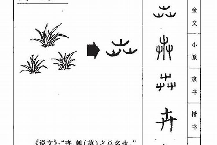 女人梦见新坟墓是什么意思